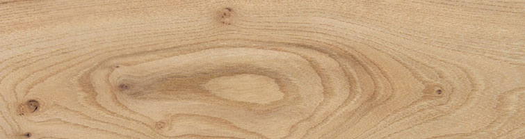 Enquire about European Elm Planed All Round or Cut to Size