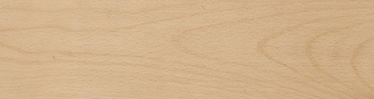 European Lightly Steamed Beech Architrave