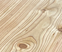 European Larch Rainshield Cladding Cladding