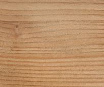 Siberian Larch Tongue and Groove Cladding Cladding