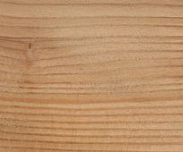 Siberian Larch Shiplap Cladding Cladding