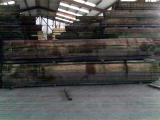 Huge Oak Boules!