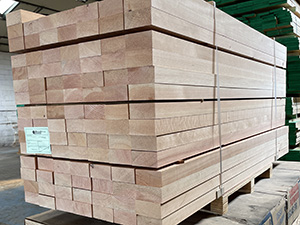 Douglas Fir Joists in a pack