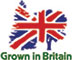 Grown in Britian
