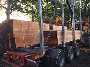 Very Freshly Cut British Douglas Fir Beams