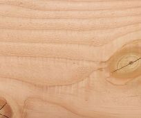 British Douglas Fir Tongue and Groove Cladding