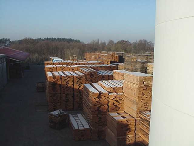 Timber sitting in the sawmill's yard