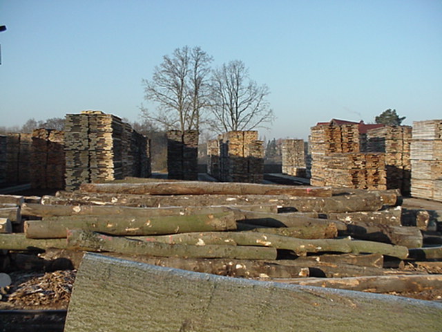 Timber in the sawmill yard