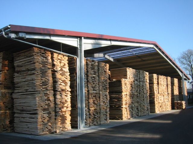 Air drying beech